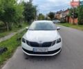 Білий Шкода Октавія, об'ємом двигуна 1.6 л та пробігом 44 тис. км за 16500 $, фото 3 на Automoto.ua
