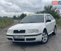 Белый Шкода Октавия, объемом двигателя 1.98 л и пробегом 301 тыс. км за 5500 $, фото 23 на Automoto.ua
