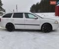 Белый Шкода Октавия, объемом двигателя 1.9 л и пробегом 327 тыс. км за 4900 $, фото 1 на Automoto.ua