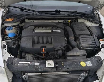 Білий Шкода Октавія, об'ємом двигуна 1.6 л та пробігом 236 тис. км за 5500 $, фото 9 на Automoto.ua