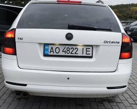 Шкода Октавия 2009 в Мукачеве на Automoto.ua Белый Шкода Октавия, объемом двигателя 1.39 л и пробегом 251 тыс. км за 7300 $, фото 19 на Automoto.ua