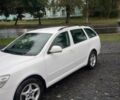 Шкода Октавия 2010 в Хмельницком на Automoto.ua Белый Шкода Октавия, объемом двигателя 1.6 л и пробегом 367 тыс. км за 6600 $, фото 2 на Automoto.ua