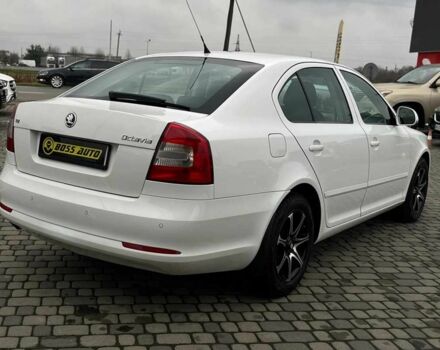 Белый Шкода Октавия, объемом двигателя 1.6 л и пробегом 260 тыс. км за 8800 $, фото 5 на Automoto.ua