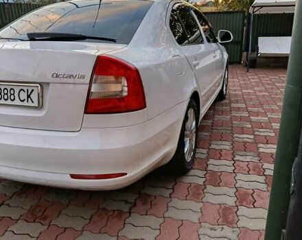 Шкода Октавия 2012 в Иршава на Automoto.ua Белый Шкода Октавия, объемом двигателя 1.6 л и пробегом 201 тыс. км за 8350 $, фото 5 на Automoto.ua