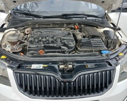 Белый Шкода Октавия, объемом двигателя 1.6 л и пробегом 230 тыс. км за 9500 $, фото 5 на Automoto.ua