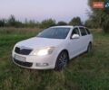 Білий Шкода Октавія, об'ємом двигуна 1.97 л та пробігом 270 тис. км за 9100 $, фото 1 на Automoto.ua