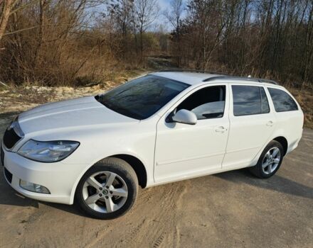 Белый Шкода Октавия, объемом двигателя 2 л и пробегом 278 тыс. км за 10300 $, фото 1 на Automoto.ua