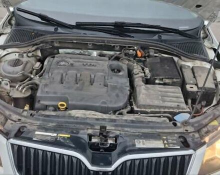 Белый Шкода Октавия, объемом двигателя 1.6 л и пробегом 289 тыс. км за 8700 $, фото 46 на Automoto.ua