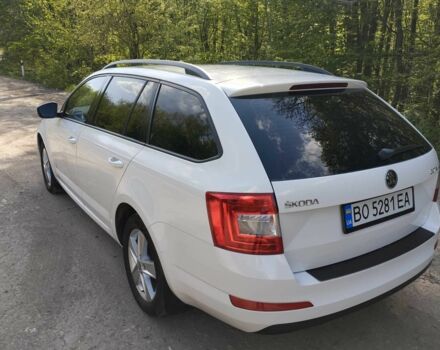Шкода Октавія 2014 у Тернополі на Automoto.ua Білий Шкода Октавія, об'ємом двигуна 1.2 л та пробігом 218 тис. км за 8200 $, фото 3 на Automoto.ua