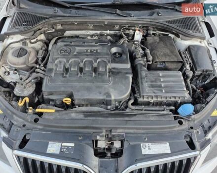 Шкода Октавія 2014 у Івано-Франківську на Automoto.ua Білий Шкода Октавія, об'ємом двигуна 1.6 л та пробігом 300 тис. км за 11250 $, фото 18 на Automoto.ua