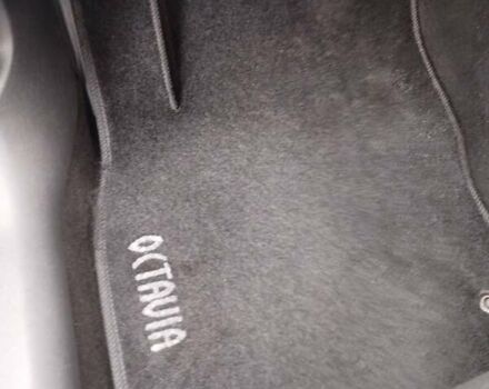 Шкода Октавия 2014 в Казатине на Automoto.ua Белый Шкода Октавия, объемом двигателя 1.97 л и пробегом 199 тыс. км за 11500 $, фото 29 на Automoto.ua