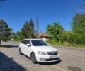 Білий Шкода Октавія, об'ємом двигуна 2 л та пробігом 251 тис. км за 10960 $, фото 1 на Automoto.ua