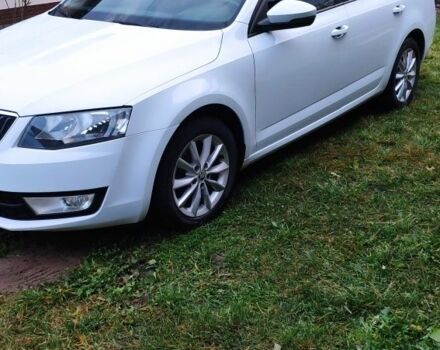 Белый Шкода Октавия, объемом двигателя 1.6 л и пробегом 290 тыс. км за 11000 $, фото 5 на Automoto.ua