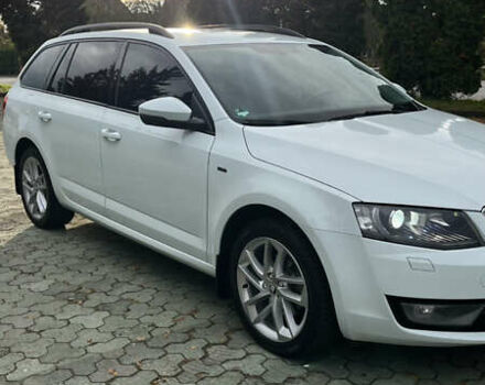 Шкода Октавия 2016 в Дубно на Automoto.ua Белый Шкода Октавия, объемом двигателя 1.6 л и пробегом 196 тыс. км за 13500 $, фото 8 на Automoto.ua