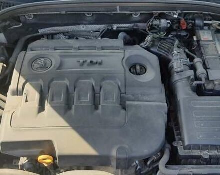 Білий Шкода Октавія, об'ємом двигуна 1.6 л та пробігом 197 тис. км за 14800 $, фото 55 на Automoto.ua