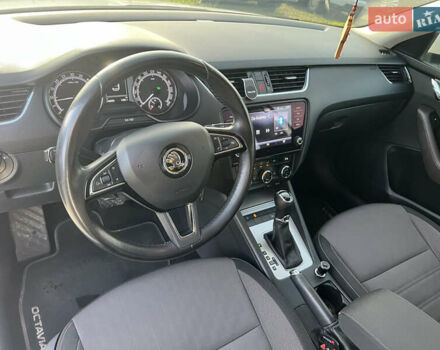 Белый Шкода Октавия, объемом двигателя 2.01 л и пробегом 246 тыс. км за 13500 $, фото 5 на Automoto.ua