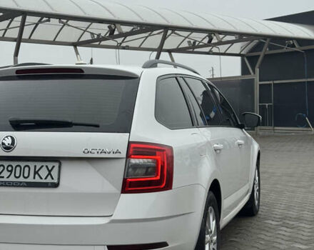 Белый Шкода Октавия, объемом двигателя 1.6 л и пробегом 280 тыс. км за 11900 $, фото 11 на Automoto.ua