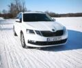 Белый Шкода Октавия, объемом двигателя 1.97 л и пробегом 300 тыс. км за 14150 $, фото 1 на Automoto.ua