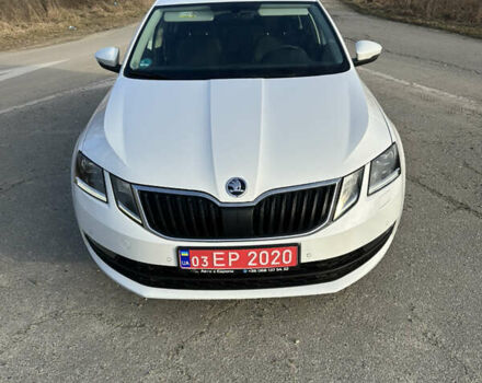 Белый Шкода Октавия, объемом двигателя 2 л и пробегом 183 тыс. км за 16650 $, фото 15 на Automoto.ua
