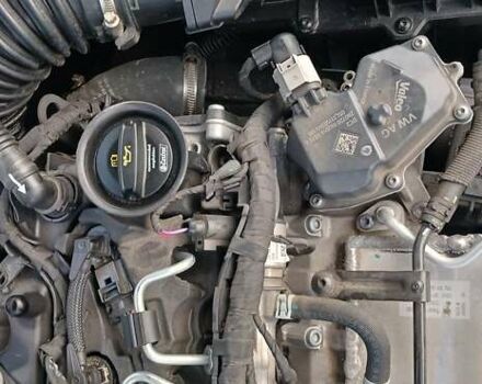 Шкода Октавия 2020 в Миргороде на Automoto.ua Белый Шкода Октавия, объемом двигателя 1.97 л и пробегом 77 тыс. км за 19750 $, фото 142 на Automoto.ua