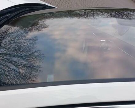 Шкода Октавия 2020 в Миргороде на Automoto.ua Белый Шкода Октавия, объемом двигателя 1.97 л и пробегом 77 тыс. км за 19750 $, фото 42 на Automoto.ua