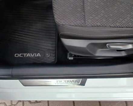 Шкода Октавия 2020 в Миргороде на Automoto.ua Белый Шкода Октавия, объемом двигателя 1.97 л и пробегом 77 тыс. км за 19750 $, фото 61 на Automoto.ua