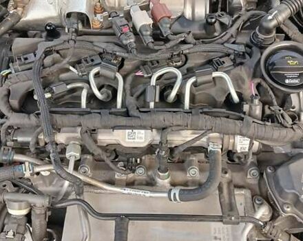 Шкода Октавия 2020 в Миргороде на Automoto.ua Белый Шкода Октавия, объемом двигателя 1.97 л и пробегом 77 тыс. км за 19750 $, фото 138 на Automoto.ua