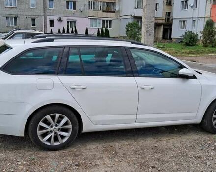 Шкода Октавия 2020 в Бориславе на Automoto.ua Белый Шкода Октавия, объемом двигателя 1.97 л и пробегом 243 тыс. км за 18400 $, фото 3 на Automoto.ua