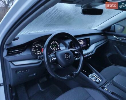 Белый Шкода Октавия, объемом двигателя 2 л и пробегом 310 тыс. км за 17800 $, фото 10 на Automoto.ua