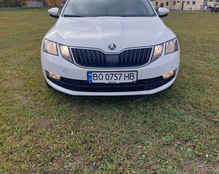 Шкода Октавия 2020 в Тернополе на Automoto.ua Белый Шкода Октавия, объемом двигателя 1.97 л и пробегом 187 тыс. км за 15200 $, фото 21 на Automoto.ua