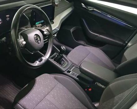 Шкода Октавия 2020 в Миргороде на Automoto.ua Белый Шкода Октавия, объемом двигателя 1.97 л и пробегом 77 тыс. км за 19750 $, фото 172 на Automoto.ua