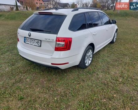 Шкода Октавия 2020 в Тернополе на Automoto.ua Белый Шкода Октавия, объемом двигателя 1.97 л и пробегом 187 тыс. км за 15200 $, фото 12 на Automoto.ua