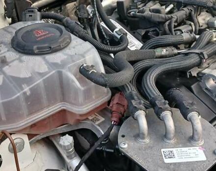 Шкода Октавия 2020 в Миргороде на Automoto.ua Белый Шкода Октавия, объемом двигателя 1.97 л и пробегом 77 тыс. км за 19750 $, фото 152 на Automoto.ua