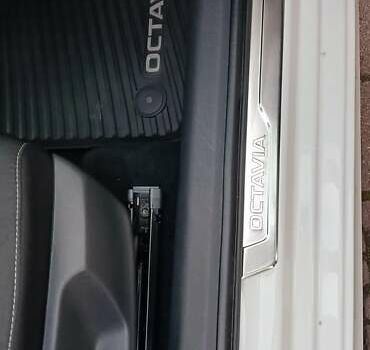 Шкода Октавия 2020 в Миргороде на Automoto.ua Белый Шкода Октавия, объемом двигателя 1.97 л и пробегом 77 тыс. км за 19750 $, фото 77 на Automoto.ua