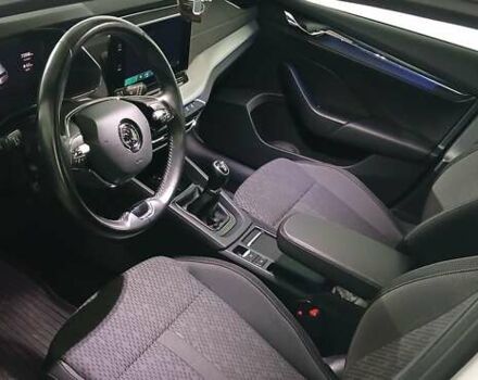 Шкода Октавия 2020 в Миргороде на Automoto.ua Белый Шкода Октавия, объемом двигателя 1.97 л и пробегом 77 тыс. км за 19750 $, фото 163 на Automoto.ua