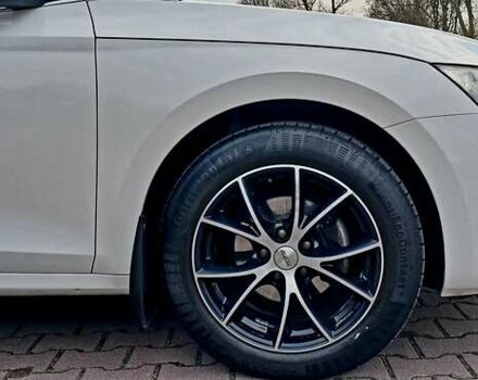 Шкода Октавия 2020 в Миргороде на Automoto.ua Белый Шкода Октавия, объемом двигателя 1.97 л и пробегом 77 тыс. км за 19750 $, фото 40 на Automoto.ua