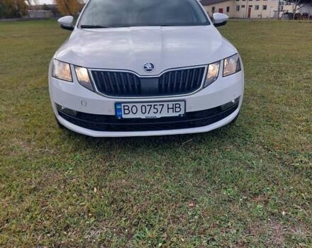 Шкода Октавия 2020 в Тернополе на Automoto.ua Белый Шкода Октавия, объемом двигателя 1.97 л и пробегом 187 тыс. км за 15200 $, фото 20 на Automoto.ua