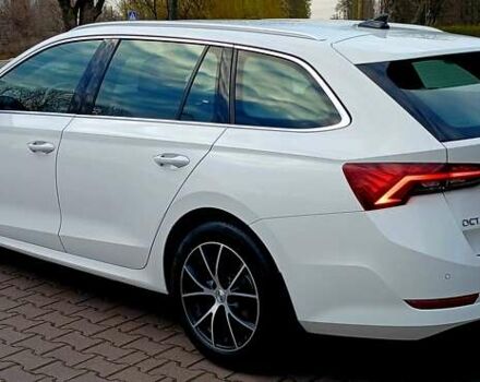 Шкода Октавия 2020 в Миргороде на Automoto.ua Белый Шкода Октавия, объемом двигателя 1.97 л и пробегом 77 тыс. км за 19750 $, фото 13 на Automoto.ua