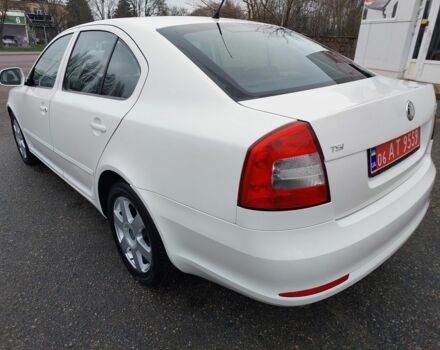 Белый Шкода Октавия, объемом двигателя 1.4 л и пробегом 187 тыс. км за 8000 $, фото 3 на Automoto.ua