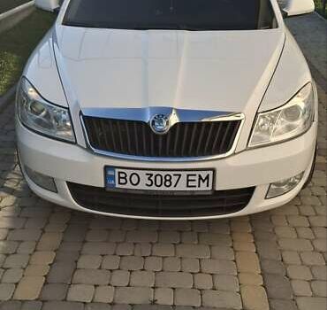 Шкода Октавия 2010 в Тернополе на Automoto.ua Белый Шкода Октавия, объемом двигателя 1.9 л и пробегом 347 тыс. км за 7500 $, фото 6 на Automoto.ua