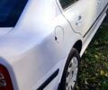 Шкода Октавия 2010 в Киеве на Automoto.ua Белый Шкода Октавия, объемом двигателя 1.6 л и пробегом 300 тыс. км за 4000 $, фото 2 на Automoto.ua