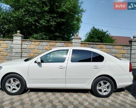 Шкода Октавия 2011 в Житомире на Automoto.ua Белый Шкода Октавия, объемом двигателя 1.6 л и пробегом 243 тыс. км за 7500 $, фото 2 на Automoto.ua