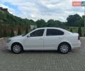 Шкода Октавия 2011 в Полтаве на Automoto.ua Белый Шкода Октавия, объемом двигателя 1.6 л и пробегом 300 тыс. км за 8500 $, фото 7 на Automoto.ua