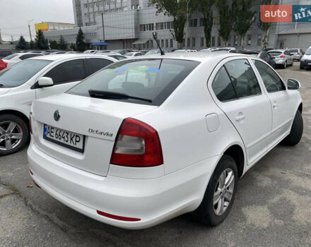 Шкода Октавия 2012 в Днепре (Днепропетровске) на Automoto.ua Белый Шкода Октавия, объемом двигателя 1.8 л и пробегом 279 тыс. км за 7500 $, фото 2 на Automoto.ua