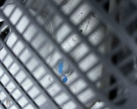 Белый Шкода Октавия, объемом двигателя 1.8 л и пробегом 37 тыс. км за 10900 $, фото 31 на Automoto.ua