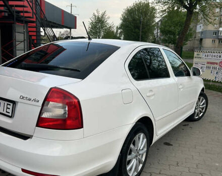 Білий Шкода Октавія, об'ємом двигуна 1.97 л та пробігом 236 тис. км за 8800 $, фото 4 на Automoto.ua