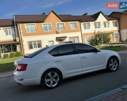 Белый Шкода Октавия, объемом двигателя 1.6 л и пробегом 183 тыс. км за 10300 $, фото 10 на Automoto.ua