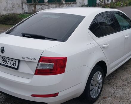 Белый Шкода Октавия, объемом двигателя 1.4 л и пробегом 220 тыс. км за 10500 $, фото 2 на Automoto.ua