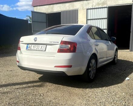 Белый Шкода Октавия, объемом двигателя 1.6 л и пробегом 220 тыс. км за 8700 $, фото 2 на Automoto.ua