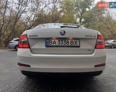 Белый Шкода Октавия, объемом двигателя 1.97 л и пробегом 243 тыс. км за 12700 $, фото 6 на Automoto.ua